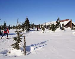 Ski Resort Strážné